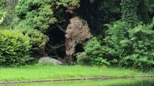 60 фото, на которые придется взглянуть дважды