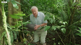 Sir David Attenborough Gives a Lesson on Seeds | The Green Planet | BC Earth