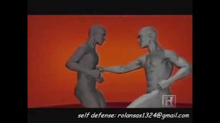 Human weapon karate techniques