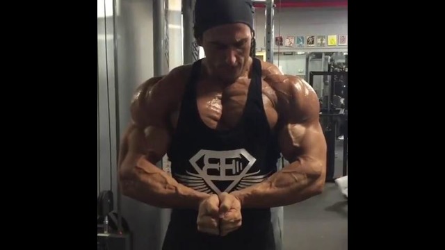 Bodybuilding – Perfect Physique