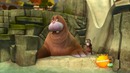 The Penguins Of Madagascar. s01e22