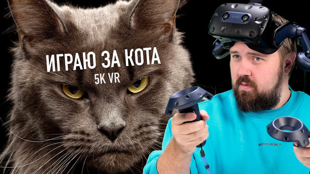 Играю за кота в VR 5K 120fps – HTC VIVE Pro 2