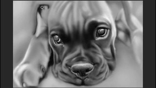 Boxer Puppy – Speed Painting (#Photoshop)