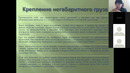 ZOOM Лекция 11 "Порядок оформления негабаритных грузов" для групп TS-30, TS-32 пр. Светашева Н.Ф