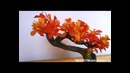 Искусственное дерево бонсай 5 ( bonsai sabamiki )