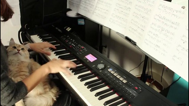 Pearl Jam – Yellow Ledbetter (Piano cover by VkGoesWild with a cat)