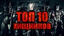Топ 10 хищников