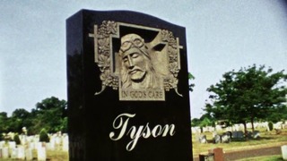 Tyson 2013