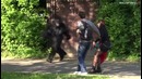 Смешной розыгрыш-Gorilla in Zoo (SA Wardega)