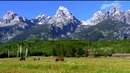 Лео рохас – лучшие мелодии – leo rojas – best melodies