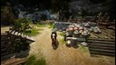 Первые Шаги в Black Desert Online часть 4 Завершение