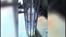 Смешные приколы. Зарплата за один день