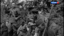 Правда о Приказе №227. Рассекреченная история. Документальный фильм