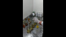 3.4.4 Видеоролик