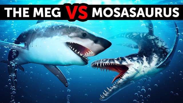Что, если бы мегалодон вступил в схватку с гигантским морским мозазавром