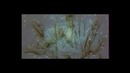 Ал-Хорезмий