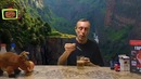 Самые популярные травы для очищения организма