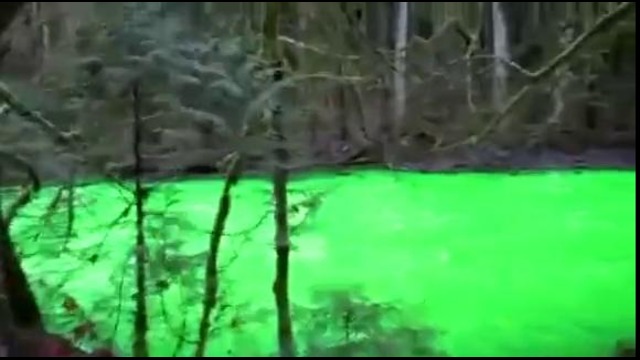 Сброс химикатов в реку