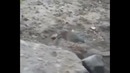 Fail Compilation. September. #2