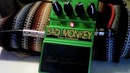 Digitech Bad Monkey Overdrive Demo