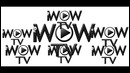 Internet tv chanel iwow-tv