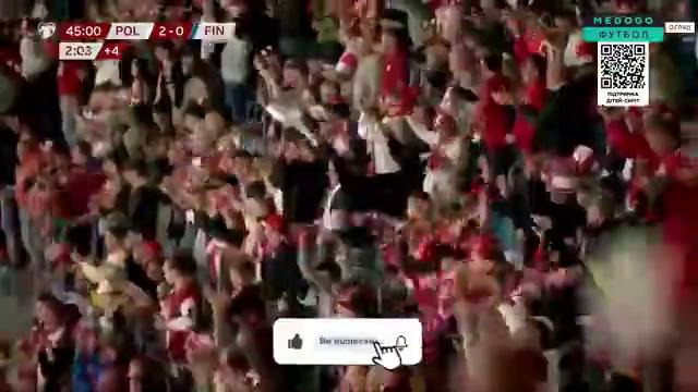 Польша – Финляндия | Обзор матча