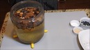 КВАС за 2 часа. Освежающий, ядрёный