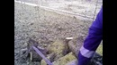 Как распилить дерево болгаркой