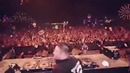Bare | nocturnal wonderland 2014