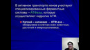 Unit 39 Физиология возбудимых тканей