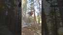 Assassin’s Creed in Real Life