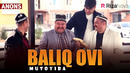 Mutoyiba – Baliq ovi (anons)