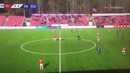 Норвежского лайнсмена облили краской во время матча