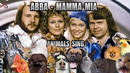 ABBA – Mamma Mia (Animal Cover)