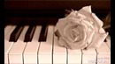 Piano roll in FL studio