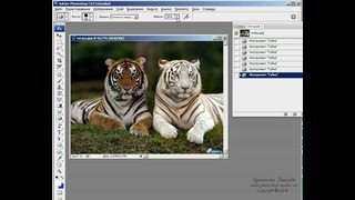 Photoshop CS3 Урок 17 – «Размытие», «Резкость», «Палец», “Затемн