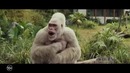 Лучшие новые трейлеры фильмов 2018 (7-я неделя)