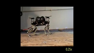 Робот Cheetah-Cub учится ходить как кошка