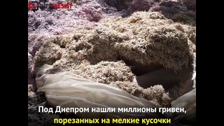 Мусор на миллионы гривен нашли в/на Украине