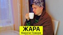 Короче говоря, жара – тимтим
