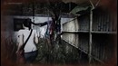 Олег Брейн: DreadOut keempers of the dark – Обзор игры