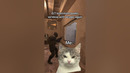 This happens more times than it should #cs2 #navi