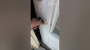 Curiosity killed the paper shredder