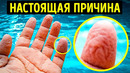 24 факта о теле, которые по сей день оставались загадкой