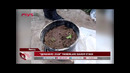 Навоий вилояти ИИБ гултувакка "марихуана" етиштириб келаётган "гулчи"ни фош этди