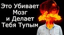 10 убийц мозга, делающих тебя тупым – Что убивает и разрушает наш мозг