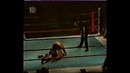 Федор Емельяненко vs Михаил Апостолов