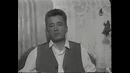 Videolavha