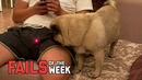 How to Make Your Friends Mad – Fails of the Week | FailArmy