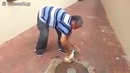 Спас котёнка от смерти